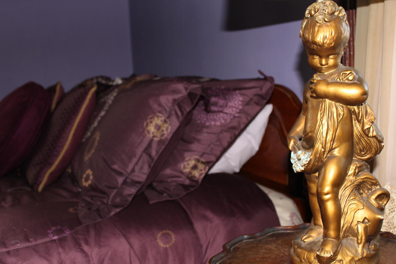 Riverview Mansion Hotel Golconda Номер фото